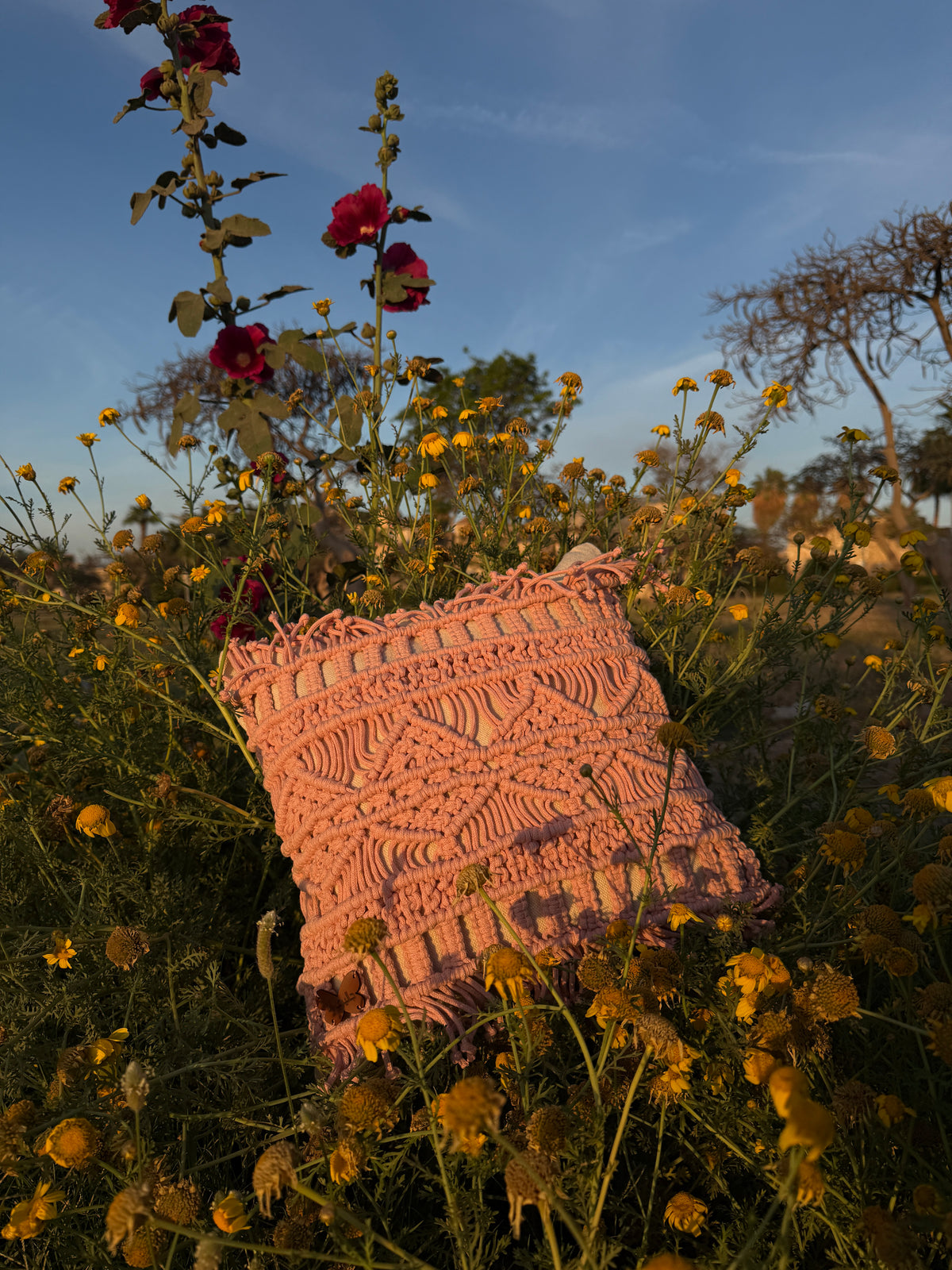 Cushion